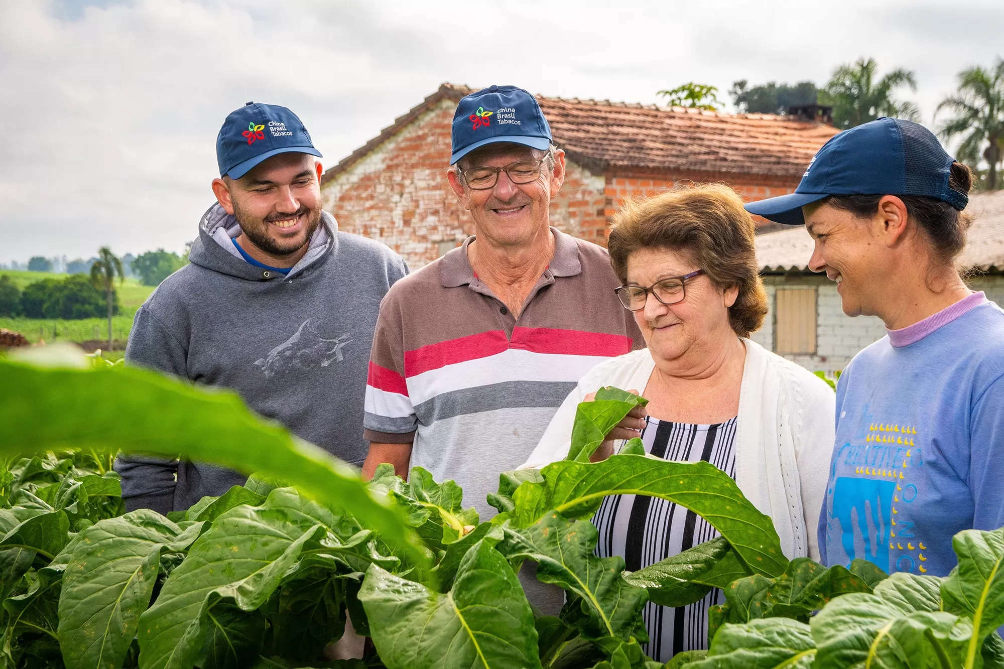 Na família Hermes a produção de tabaco é passado, presente e futuro