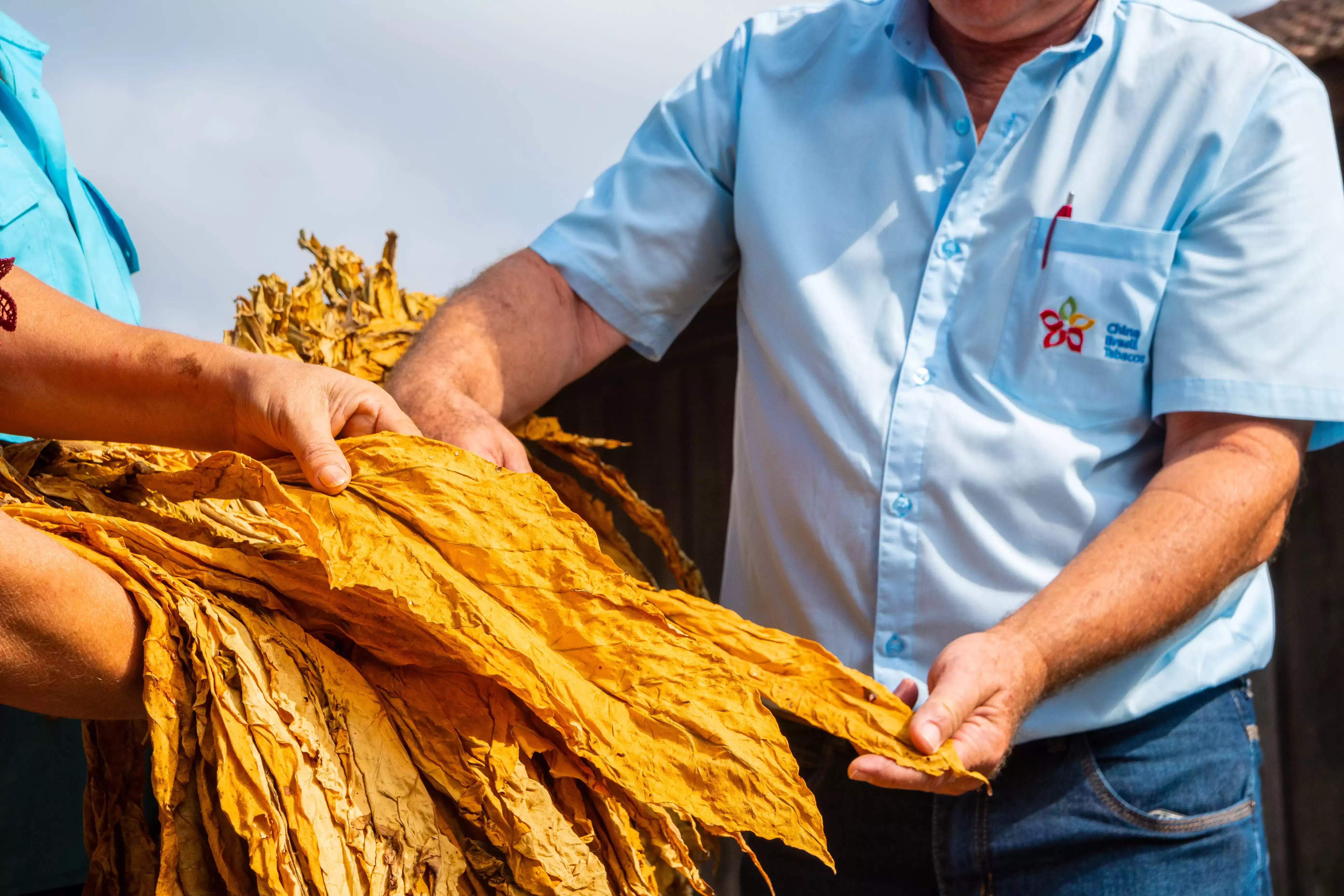 China Brasil Tabacos estará presente na 22ª Expoagro Afubra em dois espaços