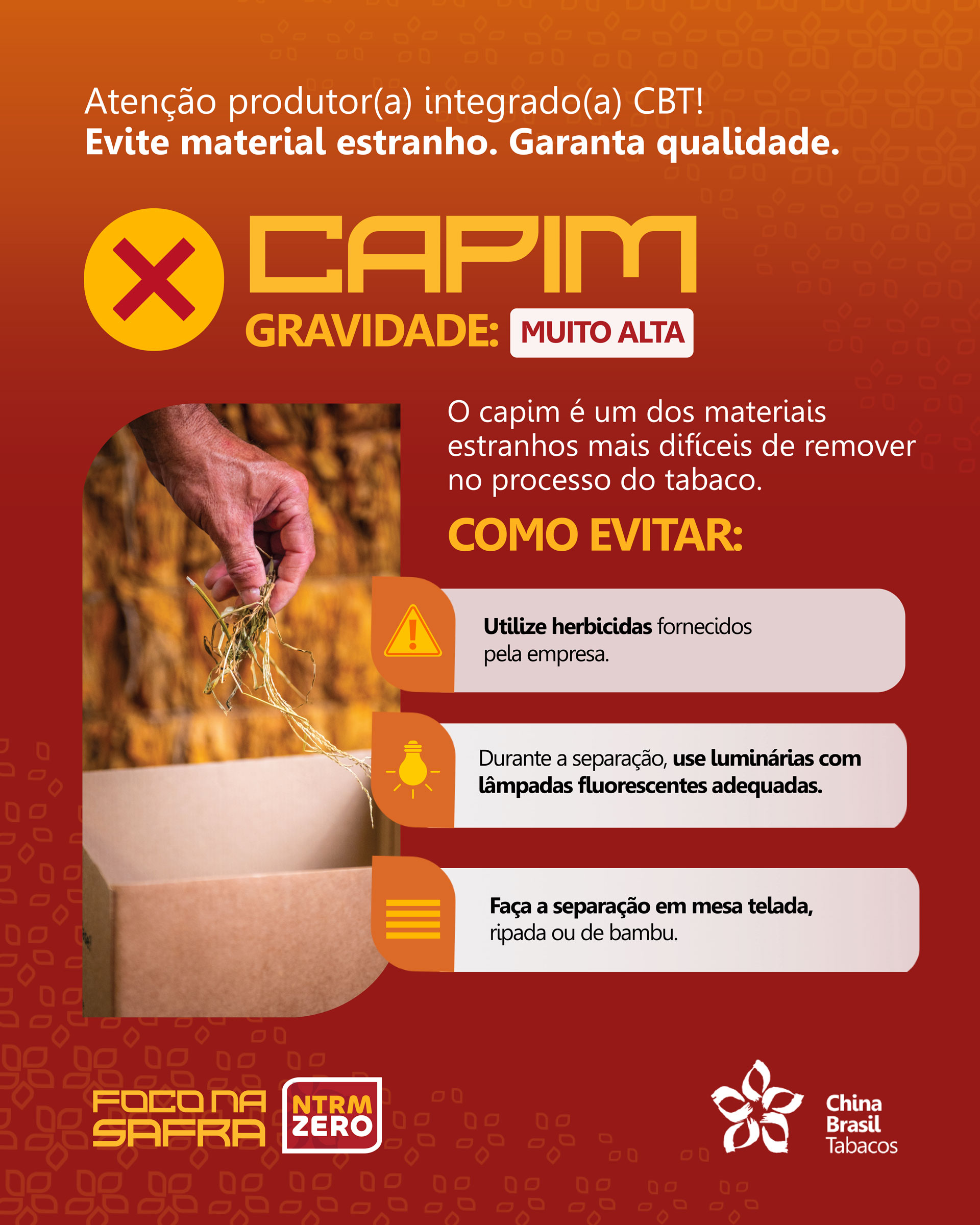 Capim - Gravidade: muito alta