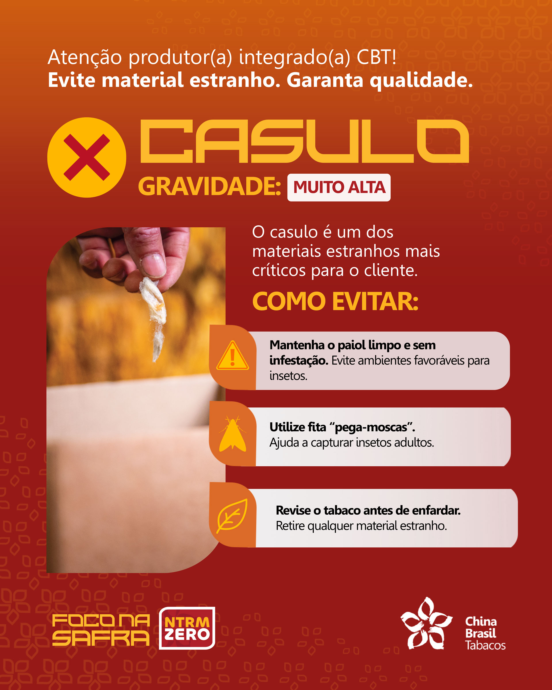 Casulo - Gravidade: muito alta