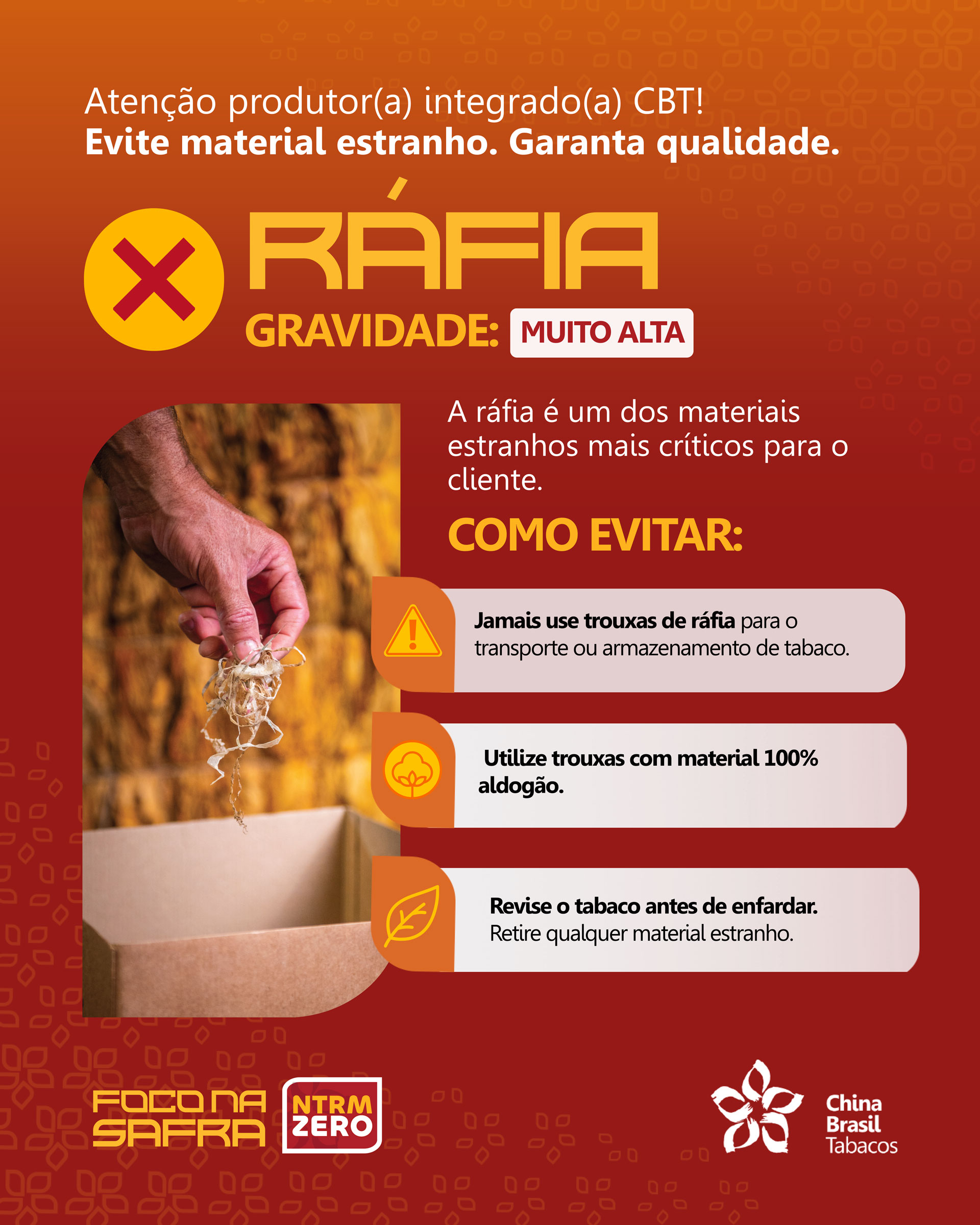 Ráfia - Gravidade: muito alta